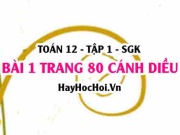 Bài 1 trang 80 Toán 12 tập 1 Cánh Diều
